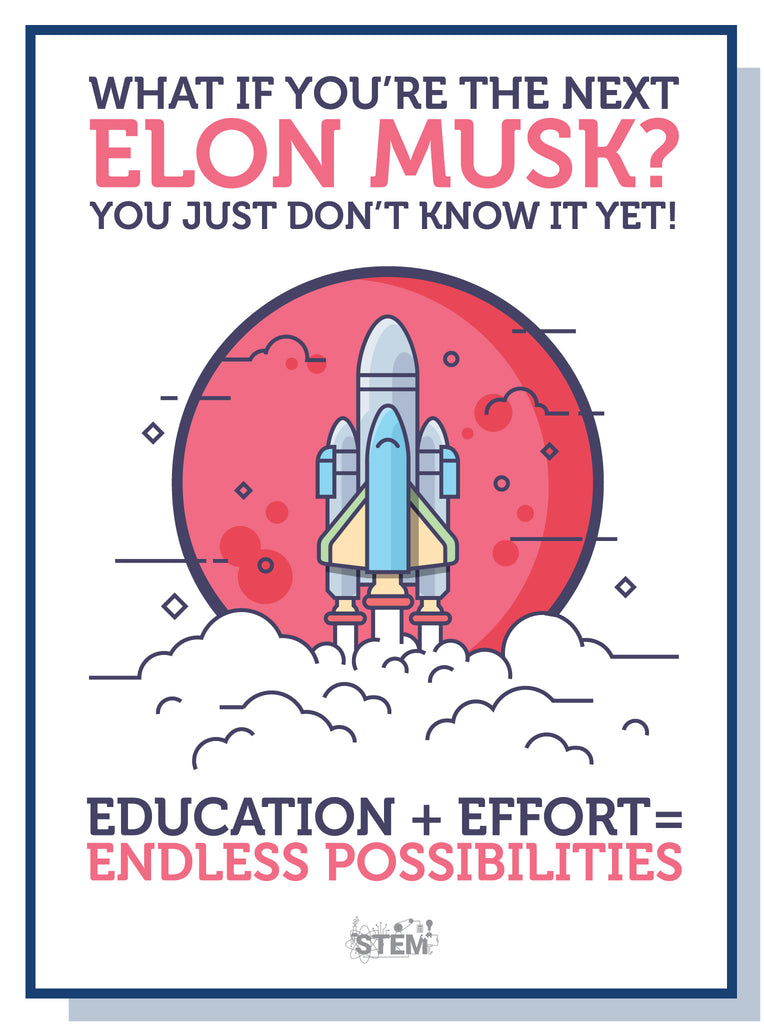 What If you're the next Elon Musk - doodle education