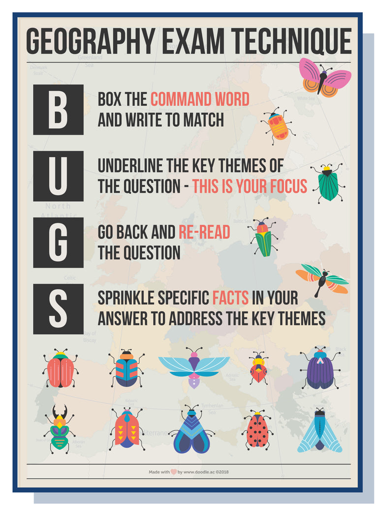 Bugs - doodle education