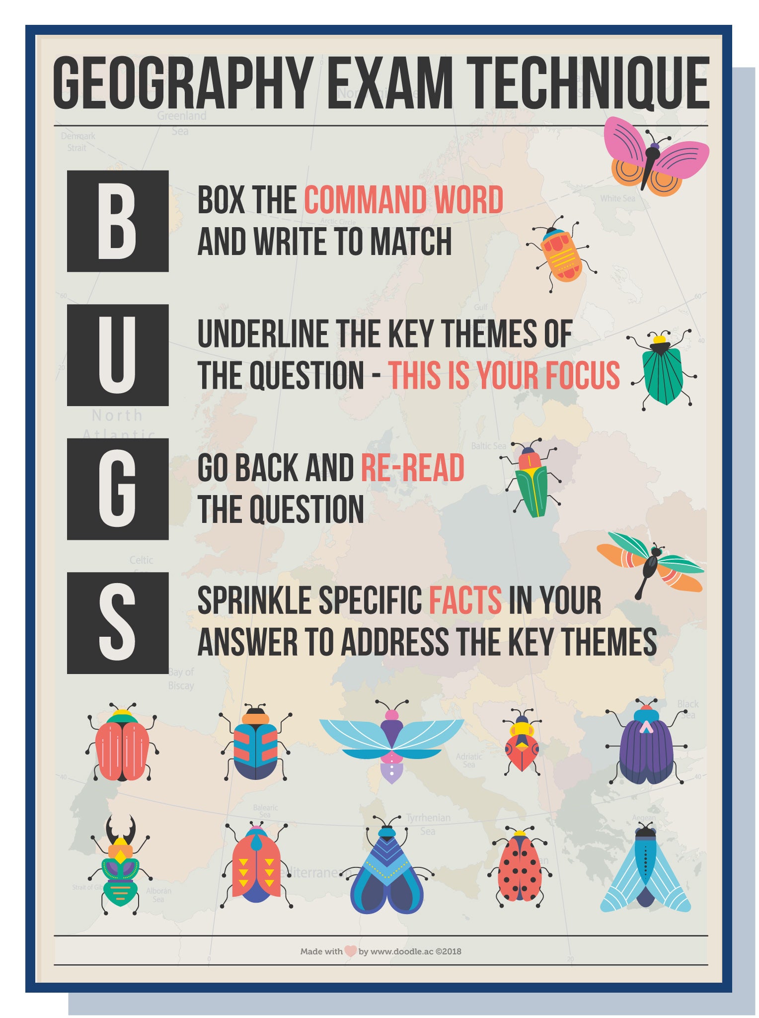 Bugs poster – doodle education